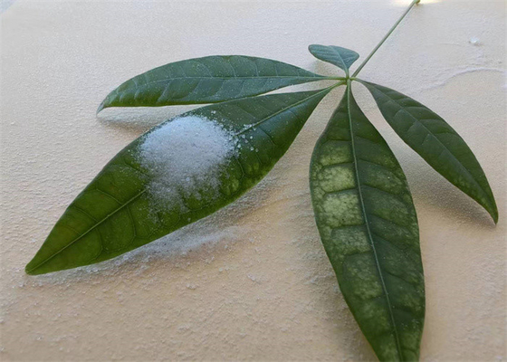 Giá tốt. Nhựa acrylic rắn có độ dính cao hòa tan trong rượu cho mực trực tuyến