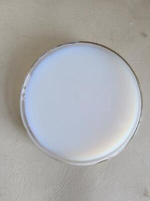 Chất lượng Styrene-Acrylic Emulsion with Superior Salt Spray & Early Water Resistance nhà máy